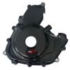 Protection de carter d'allumage carbone TEKMO KTM DUKE 250/390