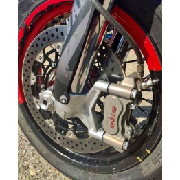 Disque de frein supermotard BITING