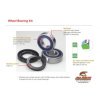 Kit roulements de colonne de direction ALL BALLS Polaris