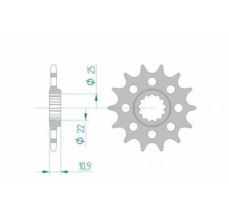 Pignon AFAM acier standard 21603 - 520