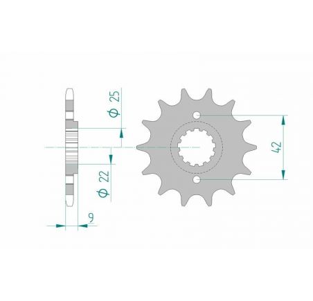 Pignon AFAM acier standard 24502 - 520