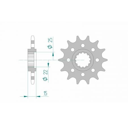 Pignon AFAM acier standard 24507 - 520