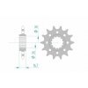 Pignon AFAM acier standard 20613 - 520