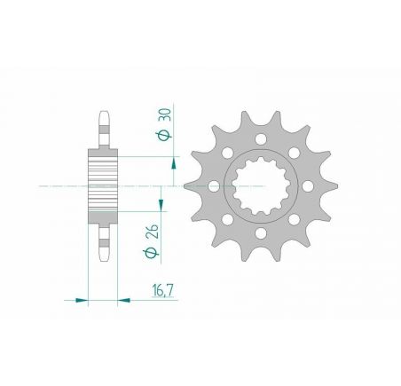 Pignon AFAM acier standard 20613 - 520