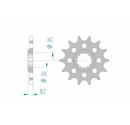 Pignon AFAM acier standard 28402 - 520