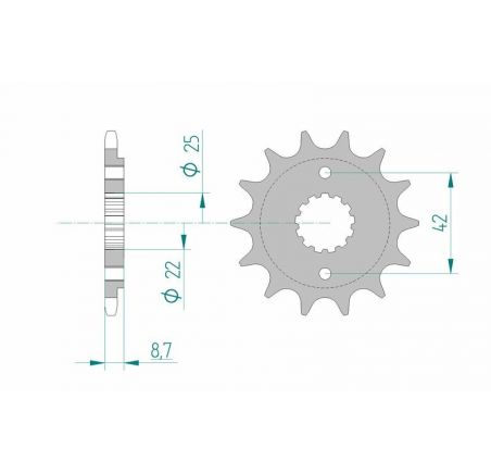 Pignon AFAM acier standard 24501 - 520