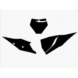 Fonds de plaque BLACKBIRD