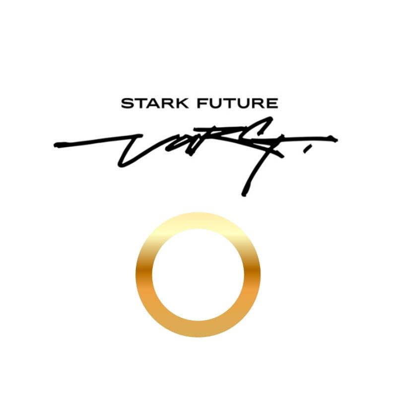 Jeu de leviers Stark Varg
